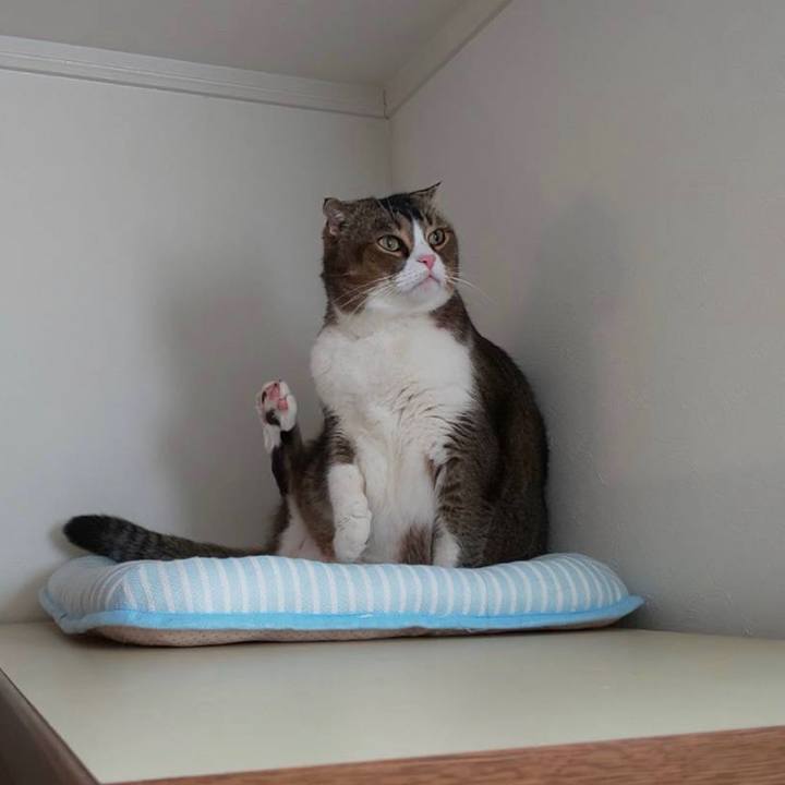 92c64629 b1f7 491f b431 f1ee7c15a5d3 1575165282134