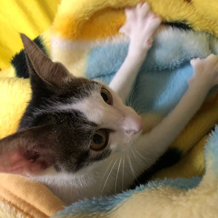 92c64bbb ef6e 416d b343 40019c26885b 1567262787338