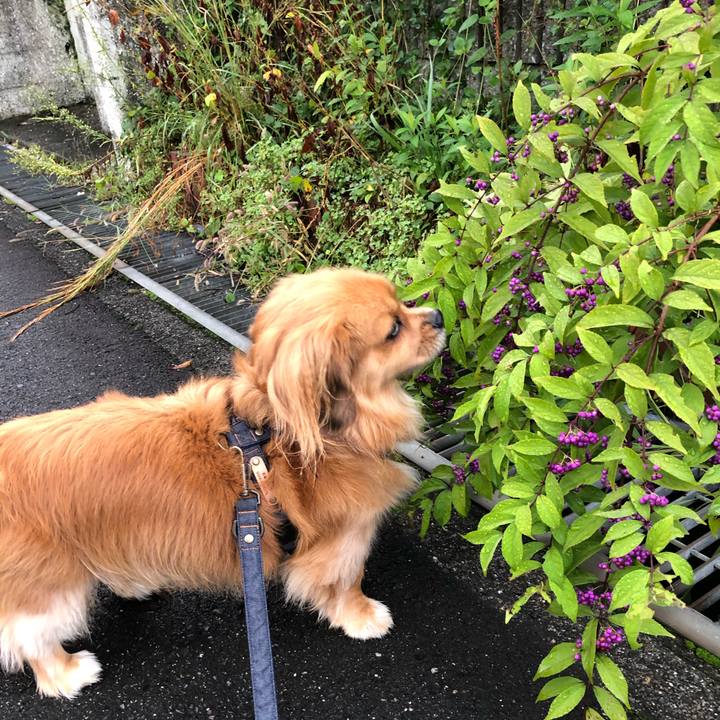 92c6538a 2e9f 46b8 abb0 9f4f73ccc357 1572055500584