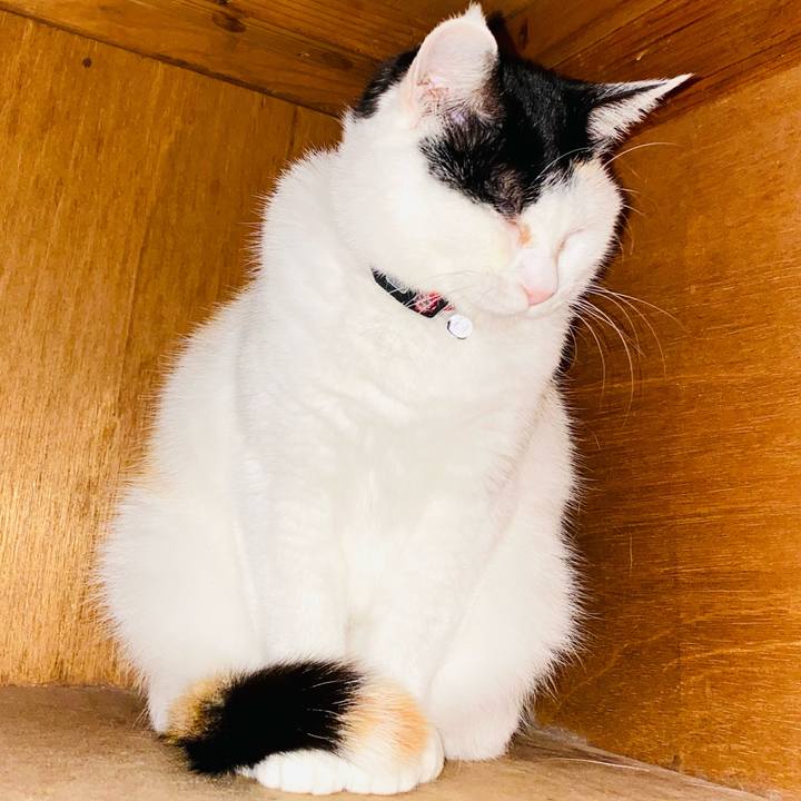 92c66582 c0f8 4ea0 b7f3 21a825de5733 1679436185946