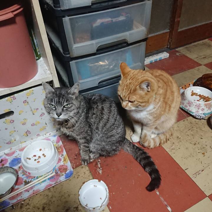 92c690c2 23c2 46ca a41c 1d28c8091a7f 1582621608667