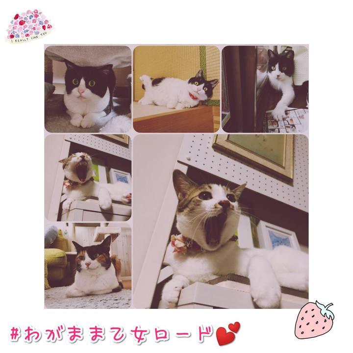 92c697cc 51d5 4997 8517 4b91ca5dfdb1 1567723408257