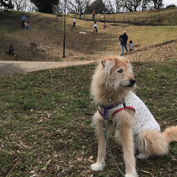 92c6ad6a 3e3a 4ef1 a03d b2e43fdfde9f 1584513840420