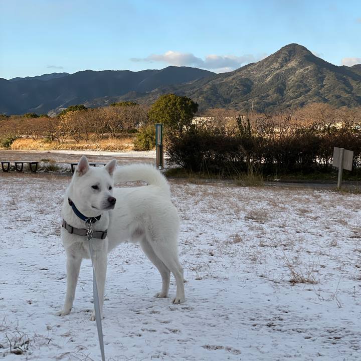 92c6f1f4 8fcd 4ef2 a4b3 22f00cf7f43f 1645051481867