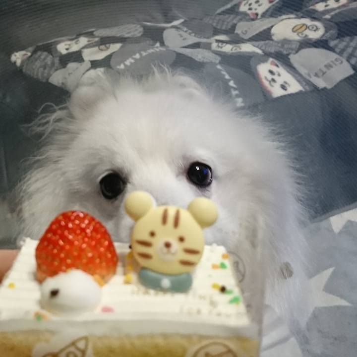 92c6f1f5 1d46 4496 82f4 e681f1013c78 1572159831724