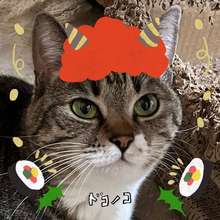 92c6fa7a a3e0 40b2 9b0e ce8013a62de8 1706779787520