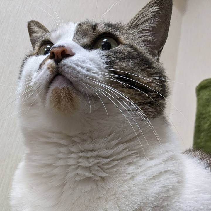 92c74b1d b8a2 4399 8b94 fd289463e479 1707566173577