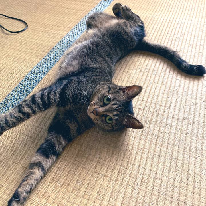 92c75f5d 1a2f 4d32 bf3a f40a02e188f4 1557820034946