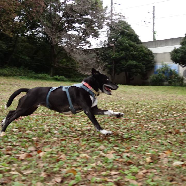 92c77b69 7427 408f ae64 da9059650c0f 1730163598381