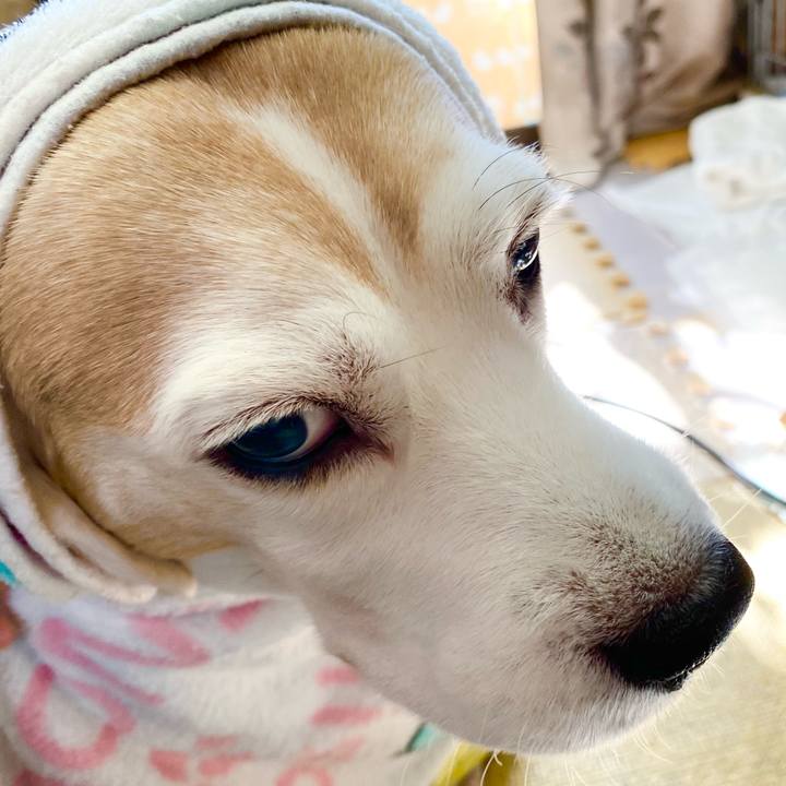 92c77ffa 6bd6 4418 b1ca 4dc194d22b29 1608090074686