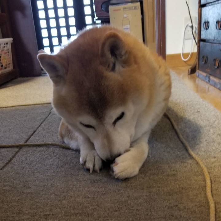 92c7b13e 65b2 4e36 ba41 7e6ab41a9fab 1699397914785