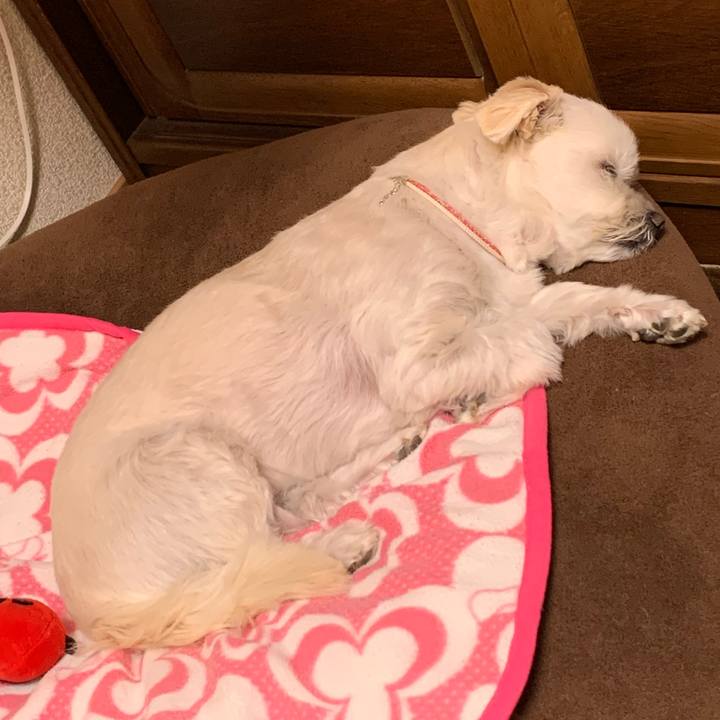 92c80823 8139 485d aa02 8b0515d895e4 1641111812292