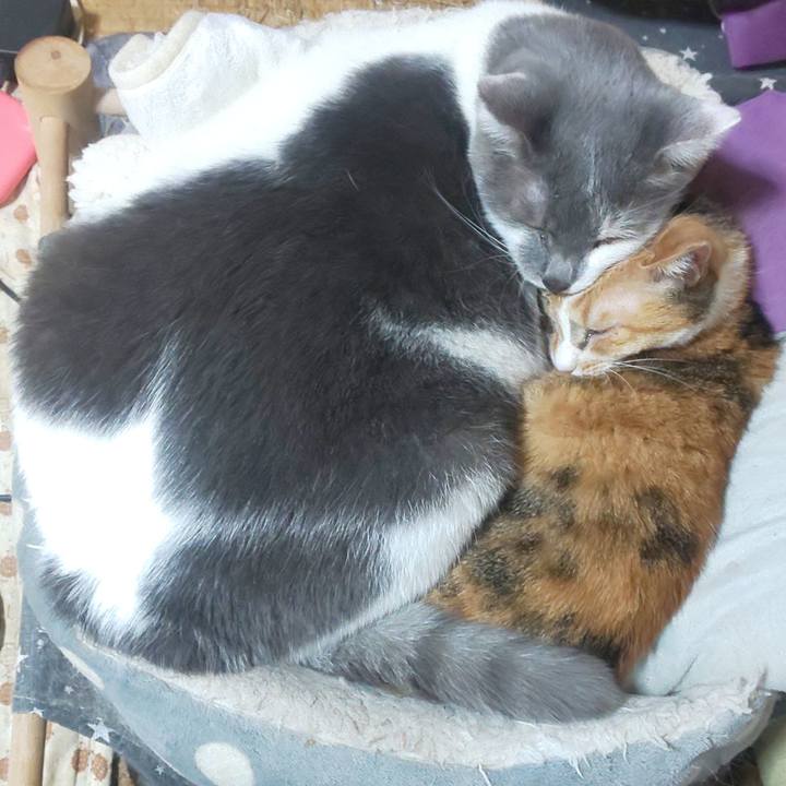 92c83d2b dc76 4f82 a32c 3289e57d92d5 1672362865853