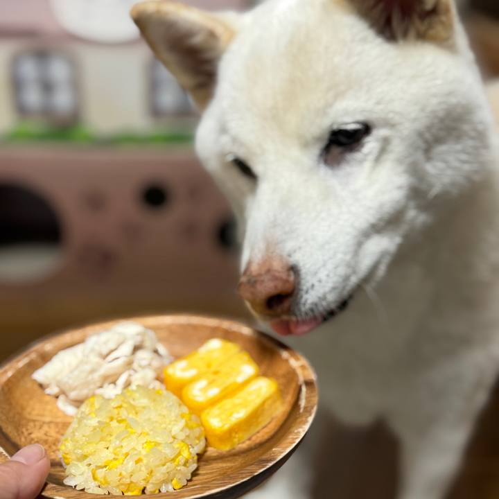 92c8698e 5fcb 4b0c bbdf 42117fc22bc6 1770461157719