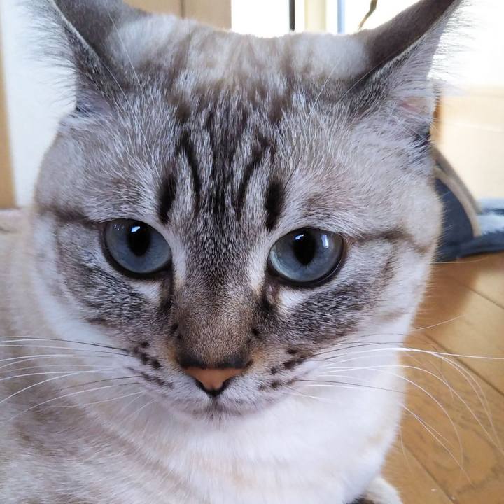 92c8b17b a149 4ab3 8920 51a09d2c1eb0 1540450681237