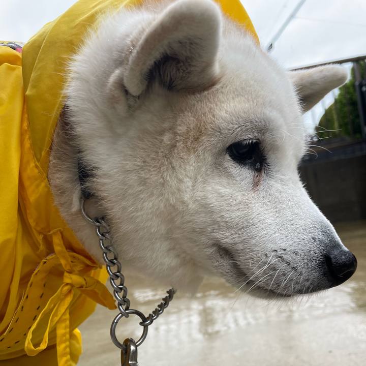 92c8c4b4 f7fb 4f41 b3f4 a03df05dd22b 1679123638731