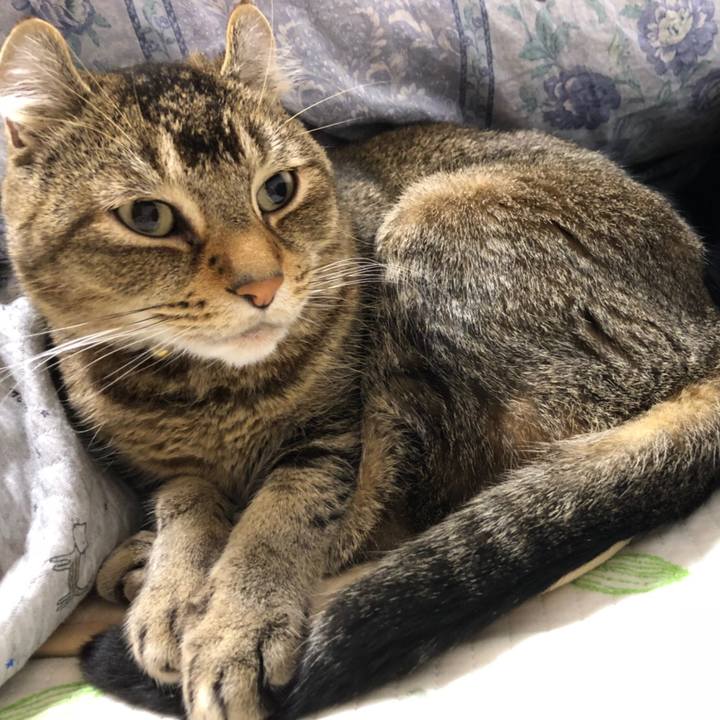 92c8f8be 9f3c 4590 99a3 5a9ede311082 1553388989974