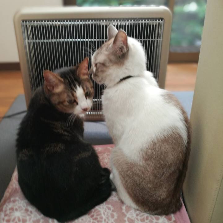 92c8fbb9 4d9e 4ed3 aeea eb63e85de938 1508970325613