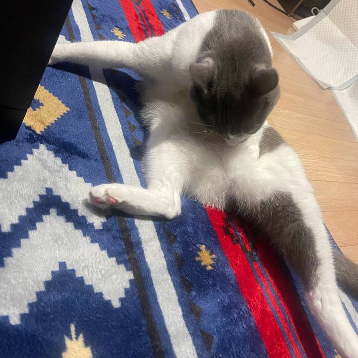 92c95efe d6d2 4398 9574 ede29e76d6f5 1638370035653