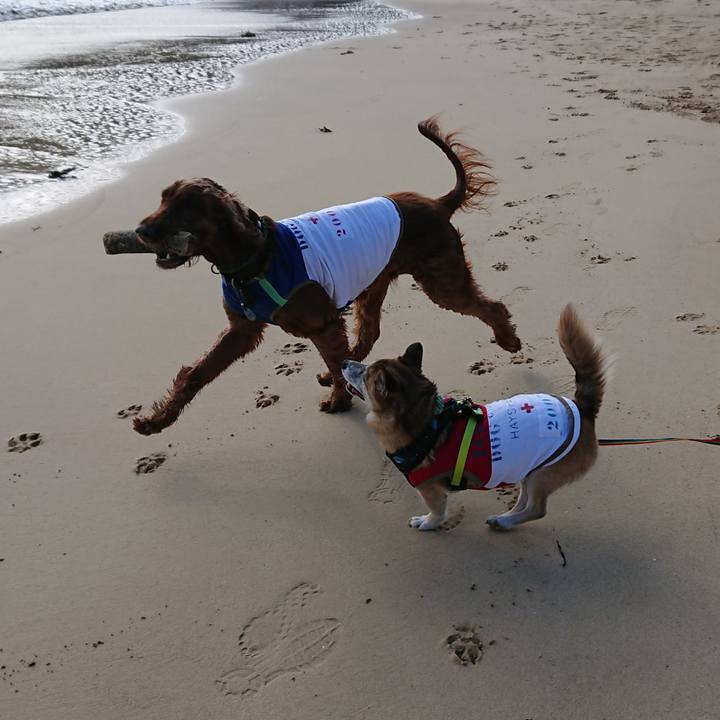 92ca1cfa d3ca 4b81 9c02 feebcfe1e668 1546610022389