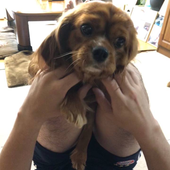 92ca1e4c 1d62 45b8 b8ef aa19e75cf7ad 1559686072142