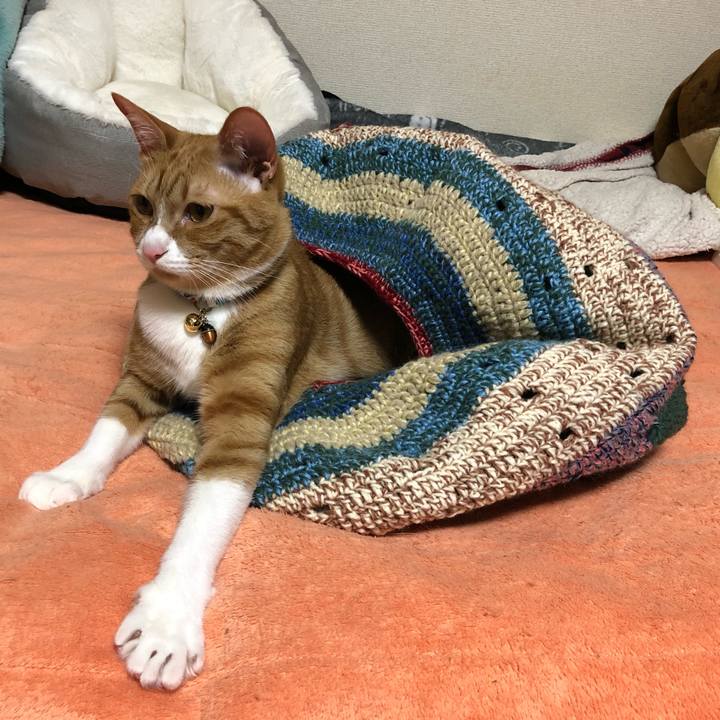 92ca2980 97b8 4fc4 82be b4cd775fdb49 1574771748065