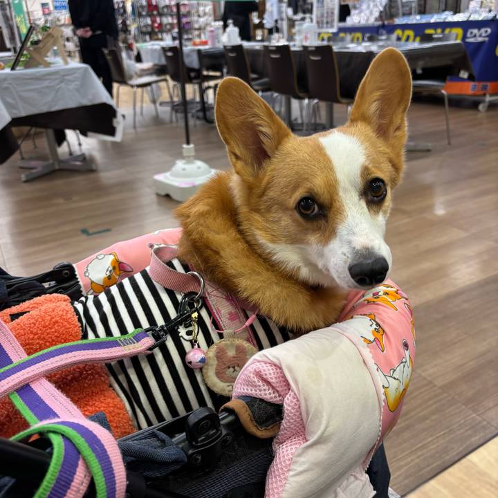 92ca44a8 7783 4f1c 8c1f df872101b673 1761459908478