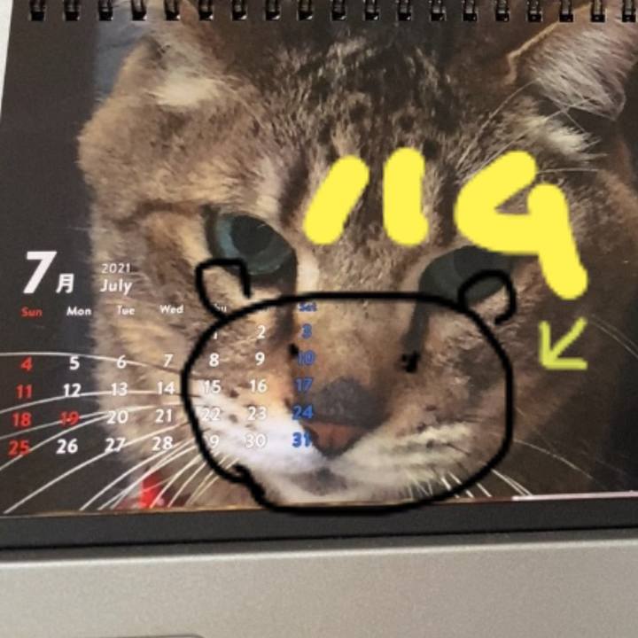 92ca4fdf 2777 4904 96d7 972e85c303f7 1625119456051