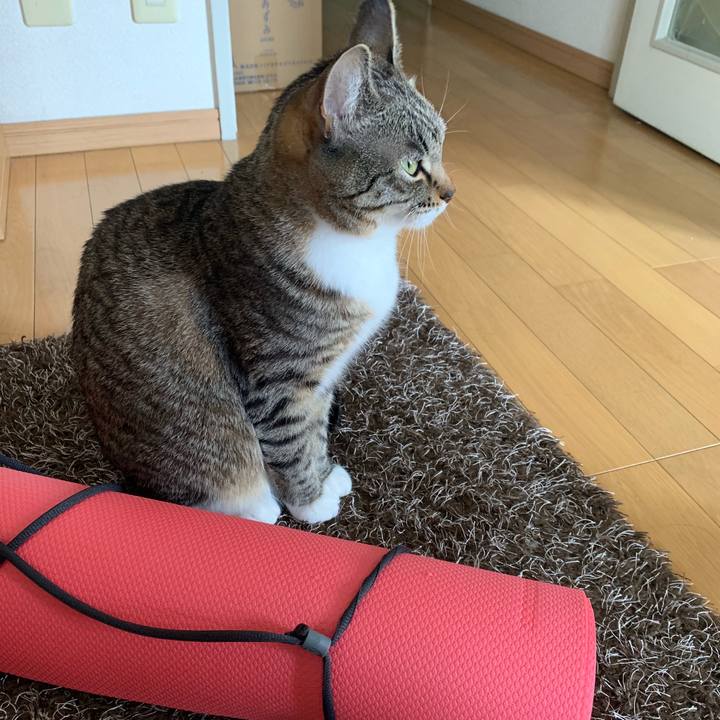 92ca59fa 16e8 439a 88f0 0d637b5ba42a 1553997097011