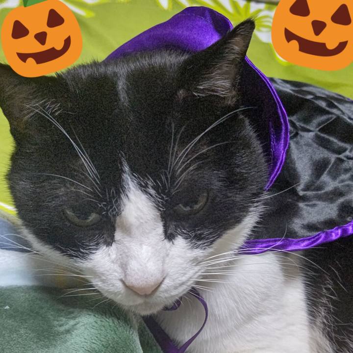 92ca8ccc 6326 4d66 a2ba b42e7f0e3447 1635646935554