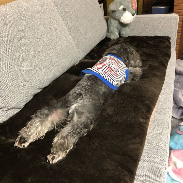 92cad5c3 374a 4a1f ac2c 00756a1cd67e 1571483883545