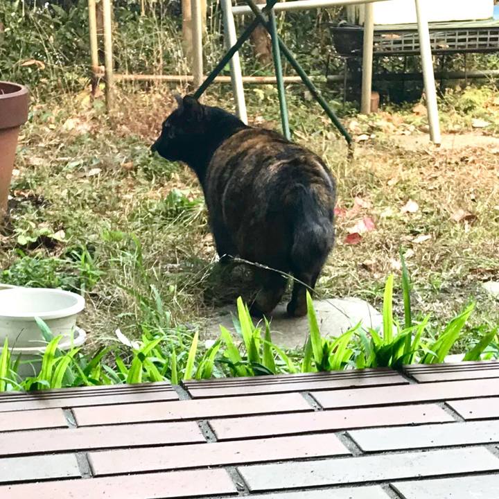 92cb797d 7930 478a 917e ee64581c6385 1514377188669