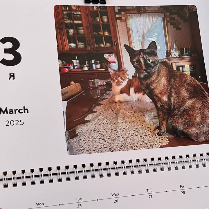 92cb7a7f cbdc 43b1 b357 aa4cb813a05f 1740782737407