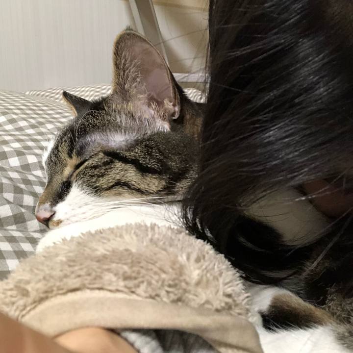 92cb7aa5 6a7c 4485 8673 c918f10e3d8f 1518916484145