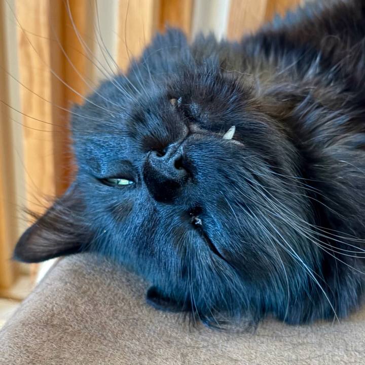 92cb8d72 165d 4805 bff8 dcad81d2c3ce 1770277710584