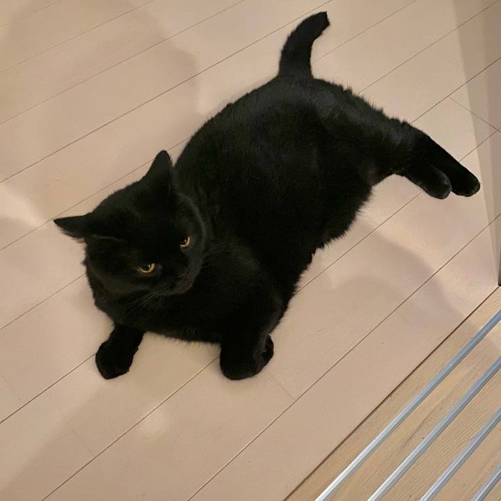 92cbca54 bd82 4aa7 8566 e4f6eeb08455 1723300320873