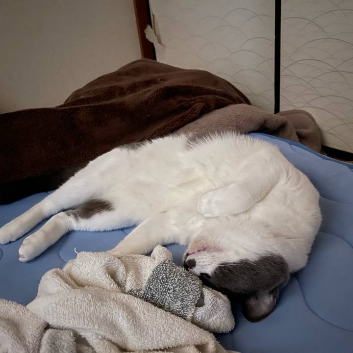 92cbf7a0 47c6 46e9 888f 1243efa5d1d2 1662329815584