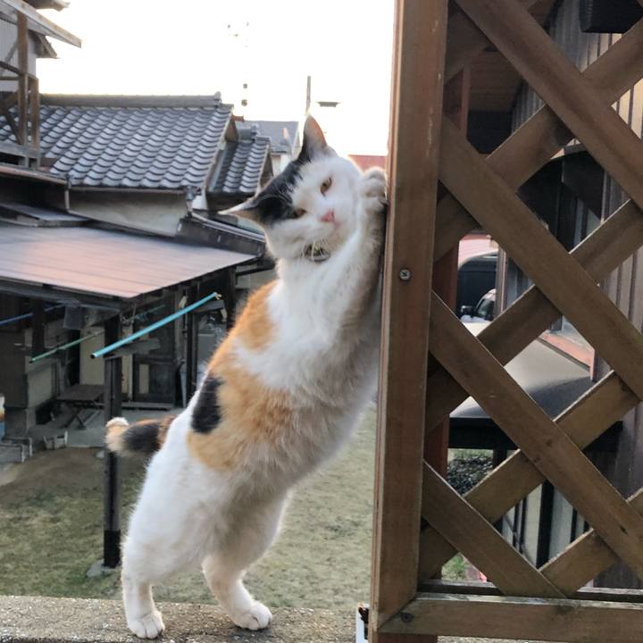 92cc3814 6cef 4296 bba8 d74e1467fb0b 1613430061561