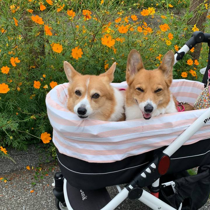 92cc4956 eed3 4a8a bdf8 34291992df58 1695864627056