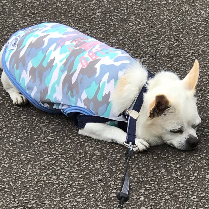 92cc7711 c980 4140 8083 e53bfed7201f 1594813631000