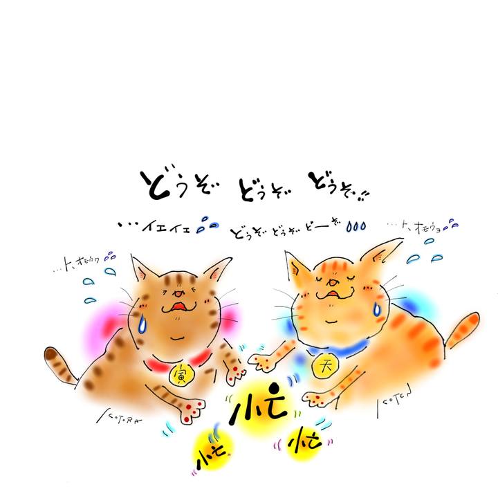 92ccb7c7 233d 471e ac8a db87a37cb76f 1672269788753