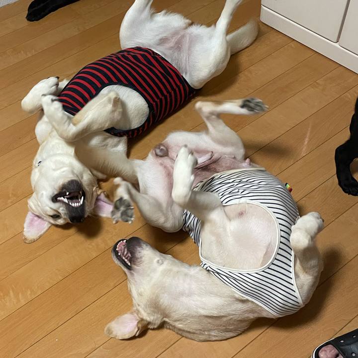 92ccf989 c397 4492 a6a7 73c431e7dbc0 1631660840166