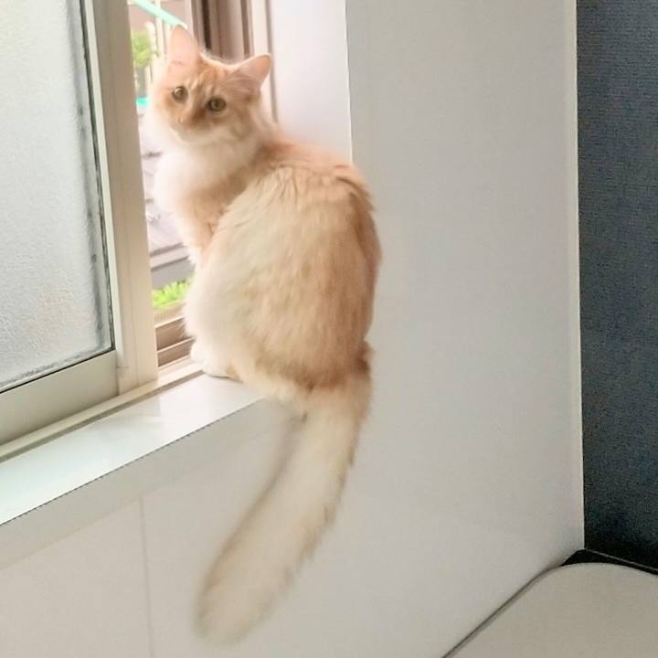 92cd1aec cccf 459f 9f02 31baf74b0915 1622410849699