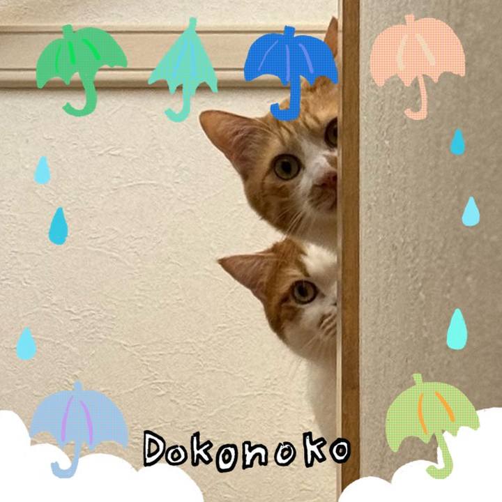 92cd2bd6 c1eb 472a 8534 af04f846dc2d 1718142728397