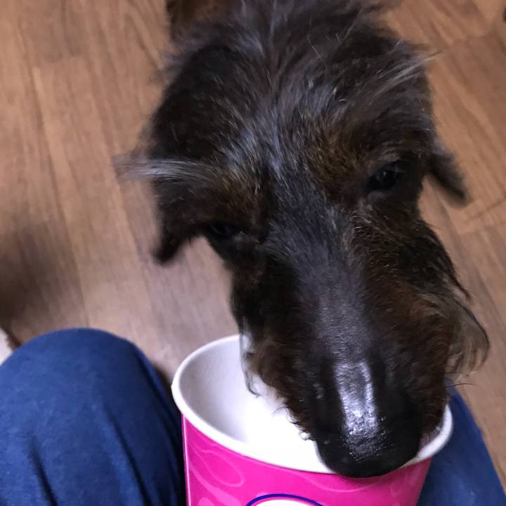 92cd6a1e c6c8 4c12 828f 7793dda9030b 1551448485261