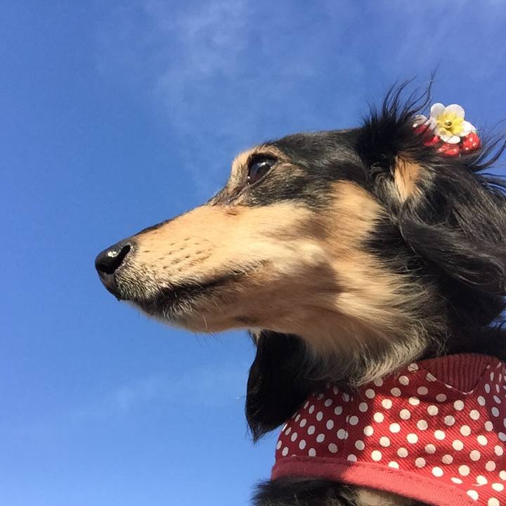 92cd7909 34fb 4d6c b04c d8b146ab1811 1518394304184