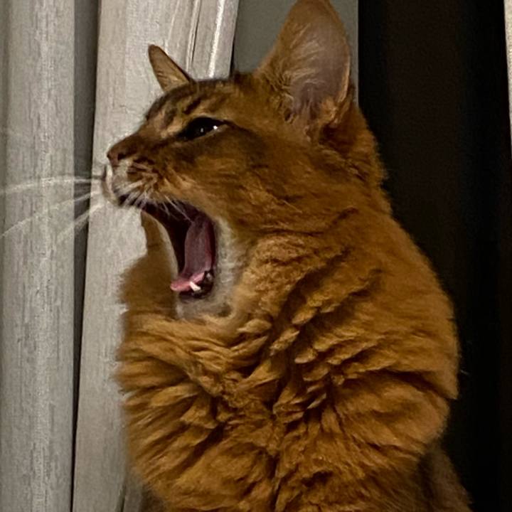 92cdba29 d842 46d3 8184 2b75f4257174 1639281135413