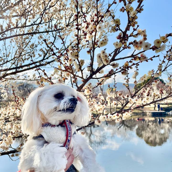 92cdc62d c294 4696 a5f5 591fa6ff9a1c 1645919219793