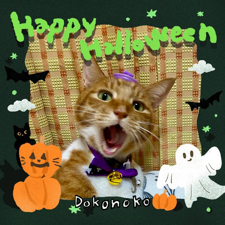 92cdda66 bcc9 45b6 966f 62a56a20c0d4 1730378445574