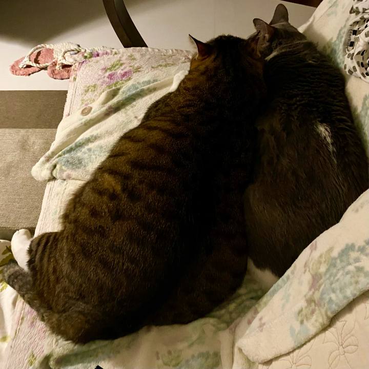 92ce3105 7826 45ee b7c7 996888f36980 1758456788578